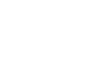 Barton Perreira